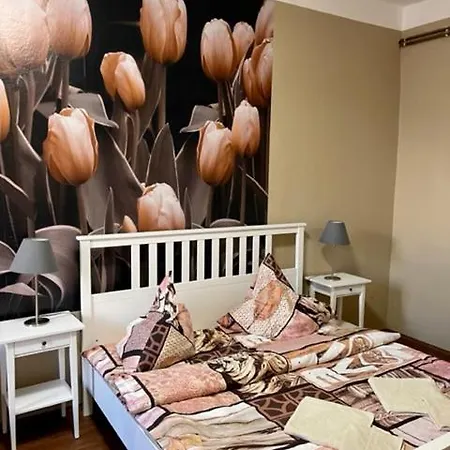 Apartman Galerie Decin Exterior photo