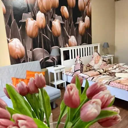 Apartman Galerie Decin Exterior photo